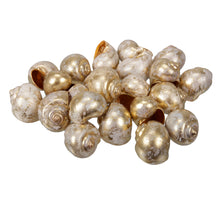 pb. Nattai golden wash 500 gr