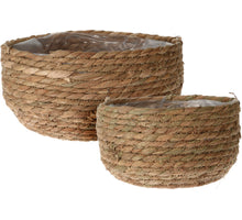 SET VAN 2 ZEEGRAS MANDEN NATUREL D25 H13CM