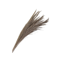 pb. broom grass 100 gr white wash 90-100 cm