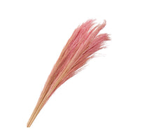 pb. broom grass 100 gr pink 90-100 cm