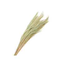 pb. broom grass 100 gr green 90-100 cm