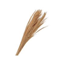 pb. broom grass 100 gr l. orange 90-100 cm
