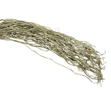 pb. brown splitted 400 gr green 90-100 cm