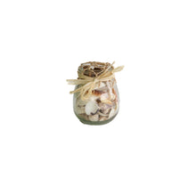 Bottle glass with shells 11x9x9cm Natural
