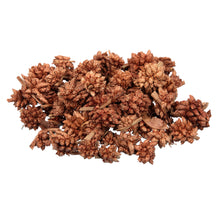 pb. star flower natural 500gr.