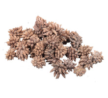 pb. star flower white wash 500gr.