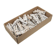 w/b. 30 pcs. banana stem/wire white