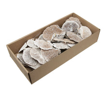 w/b 40 sponge mushroom/wire 10cm white wash