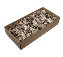 w/b. golden mushroom platinum 250 gr.
