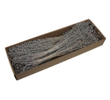 pb. 6 bunches alsi grass silver wash 300 gr.