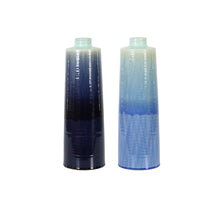 Vase ceramic Ø14x42cm 2 assorted Blue mix