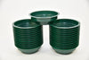 Pack of 25 junior bowl green oasis Ø12cm