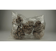 pb. 5 pinus pinea caramel wax large