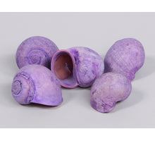 Nattai lila schelpen 1 kg