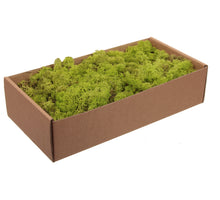 w/b. 500g. finnland moss light-green 500gr.