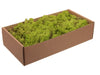 w/b. 500g. finnland moss light-green 500gr.
