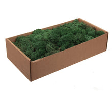 w/b. finnland moss moss-green 500gr.