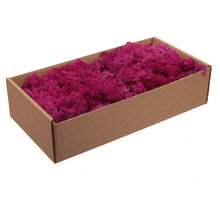 w/b. 500g. finnland moss fuchsia 500gram