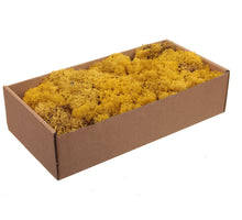 w/b. 500g. finnland moss yellow 500gr.