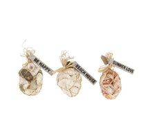 Bundle shells in net Ø9x10cm 3 assorti Natural