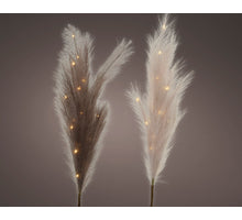 Micro LED Warm white plume fabric BO indoor 2 assorted H70 cm