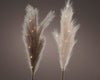 Micro LED Warm white plume fabric BO indoor 2 assorted H70 cm