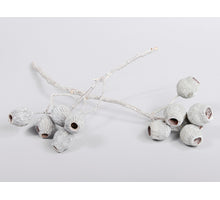 Bellgum takken met white wash 15 stuks 25cm