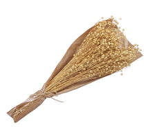 pb. Linum natural 100 gr.