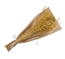 pb. Linum yellow 100 gr.