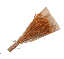 pb. Linum orange 100 gr.