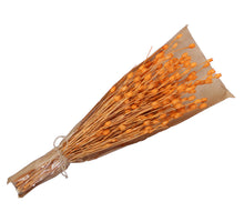 pb. Vase Flower orange 100 gr.