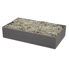 Grijs mos droog doos á 500 gram