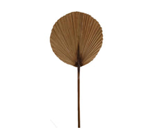 Palm leaf nature 38x1x100cm Natural