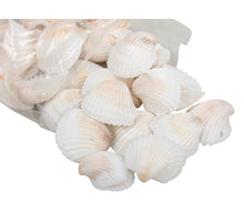 pb. white chippy big natural 1 kg