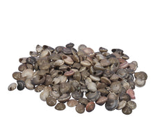 pb.button shell natural 500 gr.