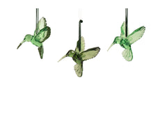 Kolibrie polystyreen transparent, iris, transpa with glitter 3ass donker groen L.9.5cm x W.7.1cm x H.9cm