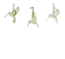 Kolibrie polystyreen transparent, iris, transpa with glitter 3ass licht groen L.9.5cm x W.7.1cm x H.9cm