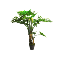 Philodendron Wasimbu green 155cm