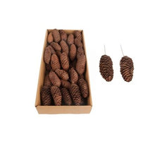 Rai cone o/w 50pc Natural