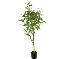 Ficus longifolia in pot green 200cm