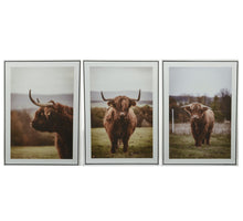 Deco schilderij buffel mdf - 2,5x50x70cm - 3ass.