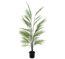 Areca palm Ilona in pot green 150cm