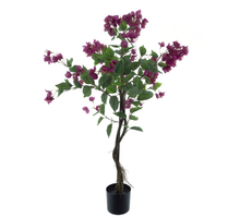 Bougainvillea tree in pot purple 120cm
