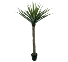 Yucca in pot green 240cm