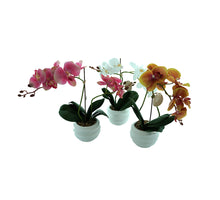 Orchidee zijde in pot 3 assortie 40cm