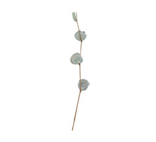 Branch capiz nature 78x15x2cm Green