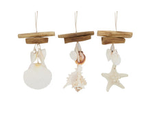 Pendant shells nature with wood 10x2x18cm Natural mix