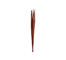 Bundle Sun Palm 100cm Brown