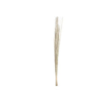 Bundle June Grass 100cm White Washed