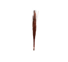 Bundle June Grass 100cm Brown